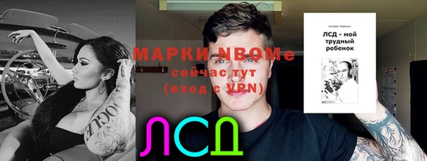 молекула духа Алексин