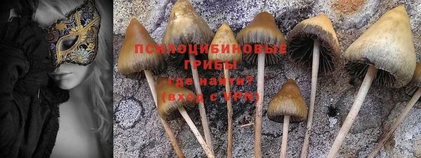 молекула духа Алексин