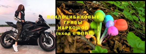 молекула духа Алексин