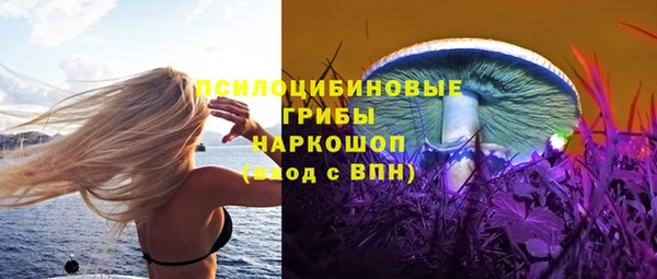молекула духа Алексин