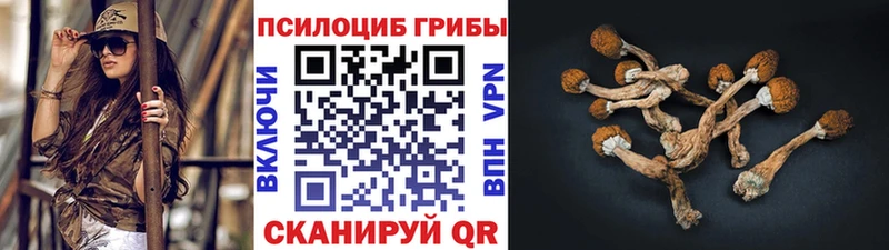 Галлюциногенные грибы MAGIC MUSHROOMS  Заполярный 