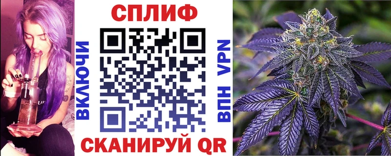 где купить   Заполярный  Конопля семена 